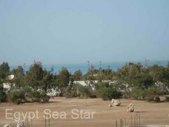 asya Hurghada