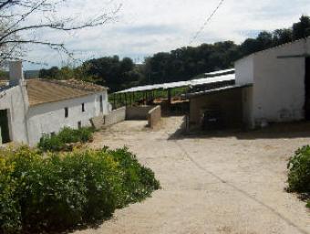 Farm for sale fp255 Setenil De Las Bodegas