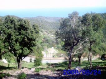 LAND FOR SALE, SOUTH CORSICA Ajaccio