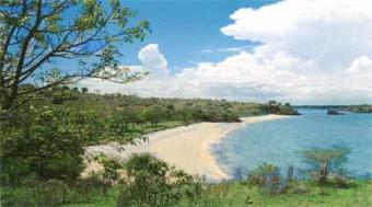 tanjung ringgit speci East Lombok
