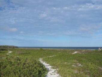 23 ACRES BEACH LAND IN MOMBASA Kikambala, Mombasa
