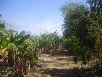 Farm land for sale Rivas