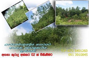 Cinnamon Land For Sale Uragasmanhandiya