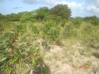 malindi land for sale Malindi