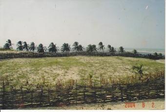land on the beach Jericocoara