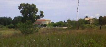 Land for sale - Bargain ! Corfu   Lefkimmi
