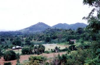 Farm/Stables Pattaya