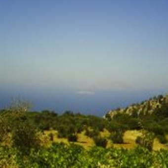 3,500 SqM of Land for Sale Rhodes