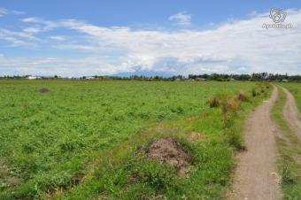 lot in tanza,cavite Cavite