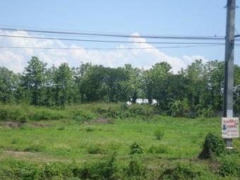Land for Sale 6 rai 300 sq.w. Chaing Mai