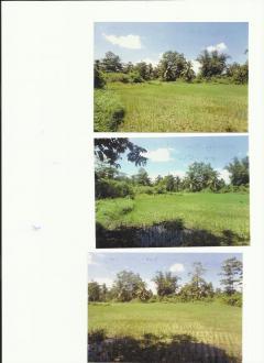 FARM LOT-PALAWAN Puerto Princesa City