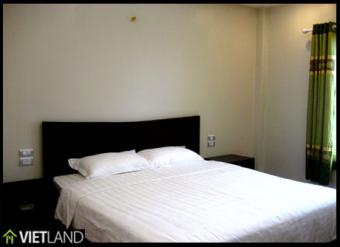 1 bed serviced apart for rent Hanoi