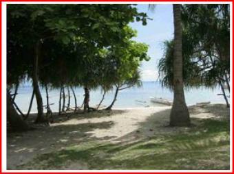 Panglao Beach Lot Panglao
