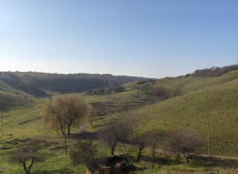 Land for sale in Dobrich Dobrich