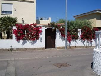 VILLA-BENIC�SSIM Benicassim