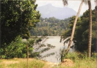 Land For Sale Kandy