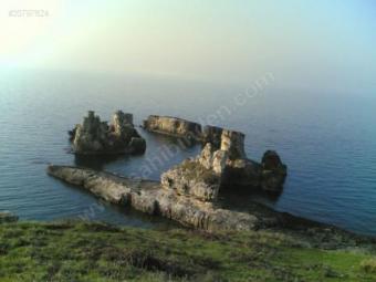sales from the turkey! Kocaeli