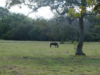 Sell beautiful Land Belen