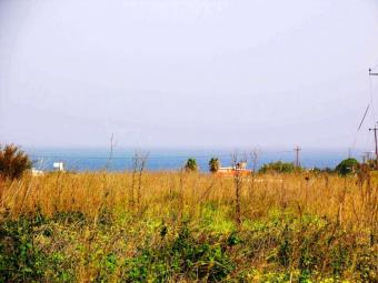 1 Donum plot close to shops bars Lapta