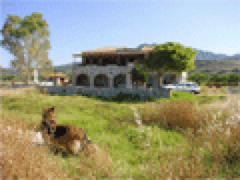 Maniatiko apartments for rent Stoupa