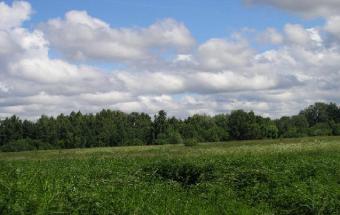 Fertile field by the river Abava Irlava