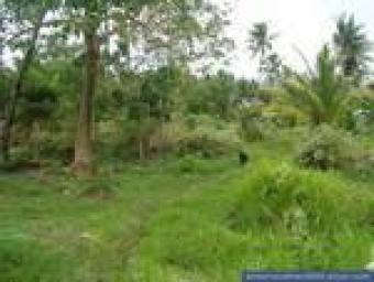 RESIDENTIAL OR COMMERCIAL LOT Macarthur