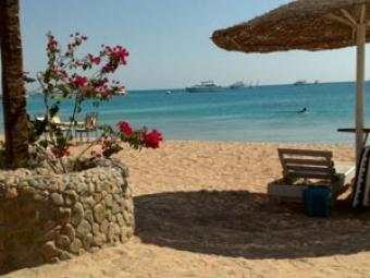 Stella di mare, Hurghada Hurghada