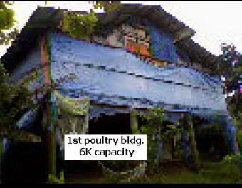 poultry and agri lot Cavite