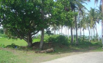 Near BEACH, 105 sqm lot Taal