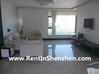 Shenzhen Apartment Rent/NanShan, Shenzhen