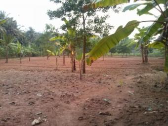 plot for sale Thiruvananthapuram