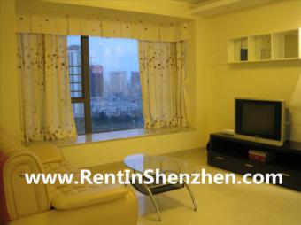 ShenZhen FuTian CBD/1 min to COC Shenzhen