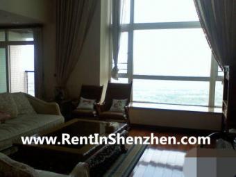 Shenzhen Apartment Rent/NanShan, Shenzhen