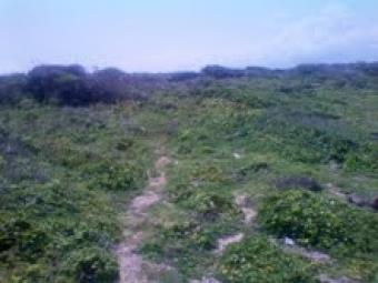 20 acres MAVUENI, kilifi,MOMBASA Kilifi