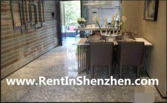 2012 new building,Shenzhen LongG Shenzhen