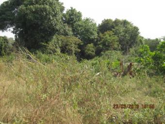 Land at WestPort, Klang 1.5acre Klang