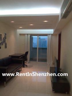 NanShan Apartment Rent/beautiful Shenzhen
