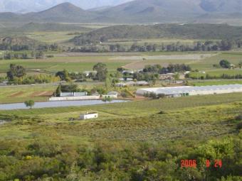 Farm for sale Robertson