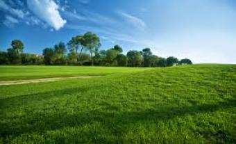 5 bed house + 45000 Sqm for sale Bet Yosef