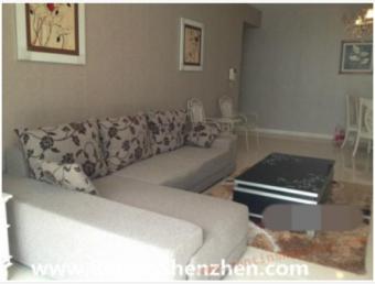 Shenzhen apartment for rent,SheK Shenzhen