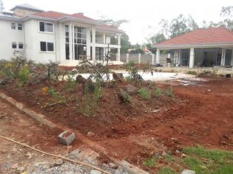 5 bedroom hse with a swimming po Karen