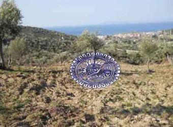 Halkidiki Toroni