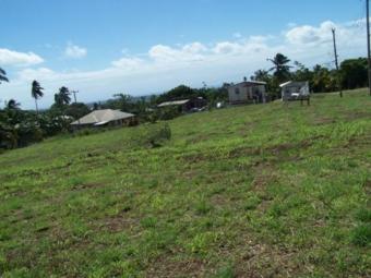 2 ACRE,WELCHMAN HALL,ST THOMAS Welchman Hall