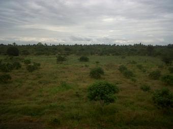 BEACH PLOT FOR SALE Dar Es Salaam