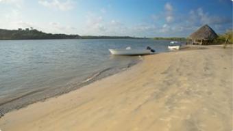 Prime Fine Sand Beach Land Kipini