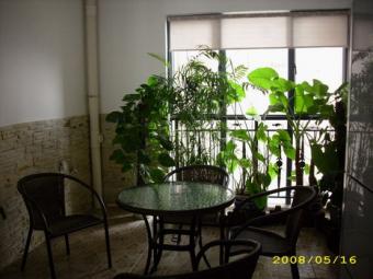 excellent seaview and decoration Shenzhen