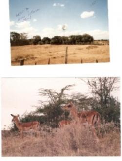 ARI NYRIO LAND FOR SALE Nakuru