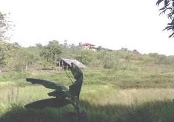 VERY AFFORDABLE  LOT Puerto Princesa City