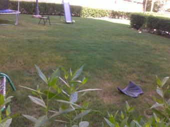 FLAT IN VILLA FOR  westreners Al Manqaf