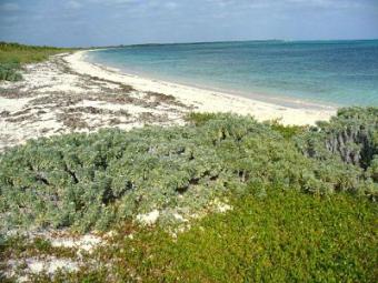 New!  Beachfront Lots For Sale Cockburn Town